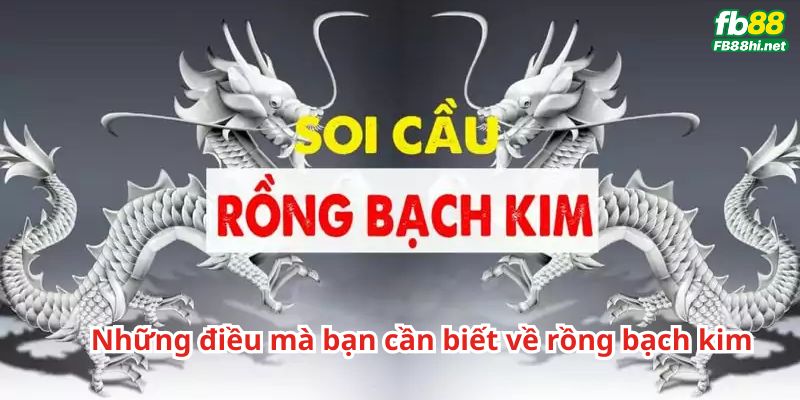 Soi cầu rồng bạch kim là gì? Những điều mà bạn cần biết về rồng bạch kim 