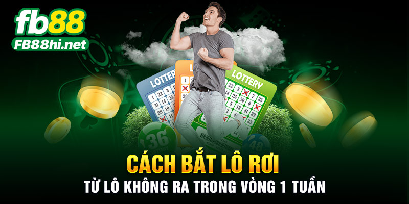 Cách bắt lô rơi từ lô không ra trong vòng 1 tuần
