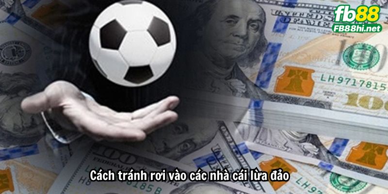 Cách tránh rơi vào các nhà cái lừa đảo