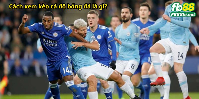 Cách xem kèo cá độ bóng đá là gì?