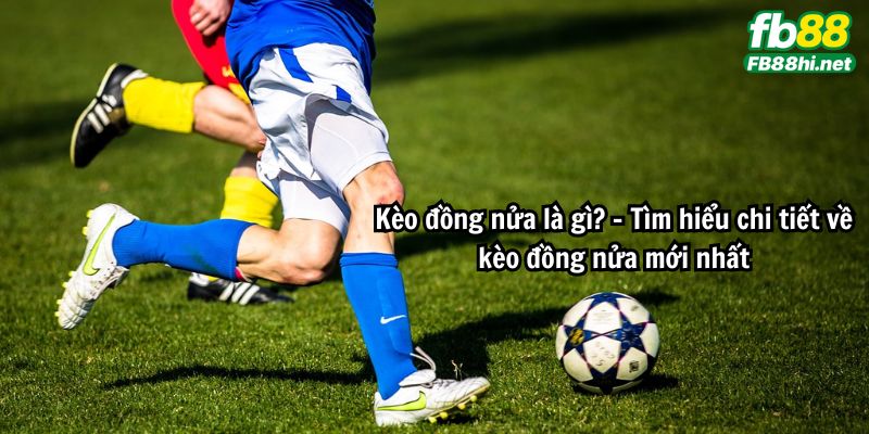 Kèo đồng nửa là gì? - Tìm hiểu chi tiết về kèo đồng nửa mới nhất