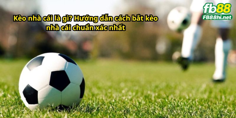 Kèo nhà cái là gì? Hướng dẫn cách bắt kèo nhà cái chuẩn xác nhất