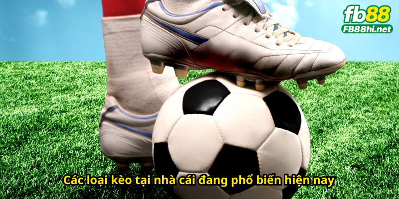 Kèo nhà cái là gì? Các loại kèo tại nhà cái đang phổ biến hiện nay