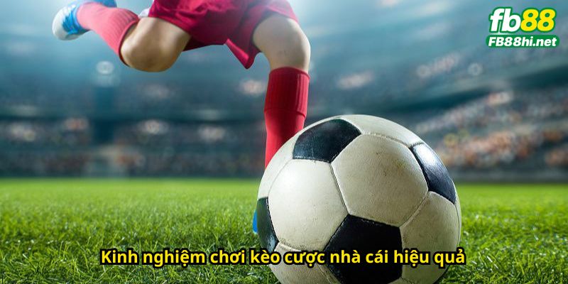 Kèo nhà cái là gì? Kinh nghiệm chơi kèo cược nhà cái hiệu quả