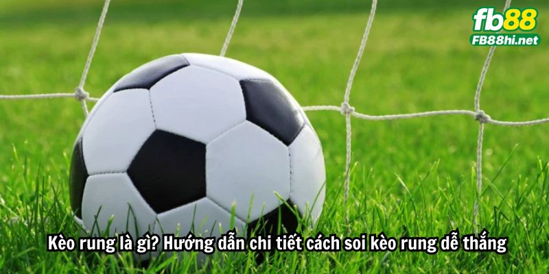 Kèo rung là gì? Hướng dẫn chi tiết cách soi kèo rung dễ thắng