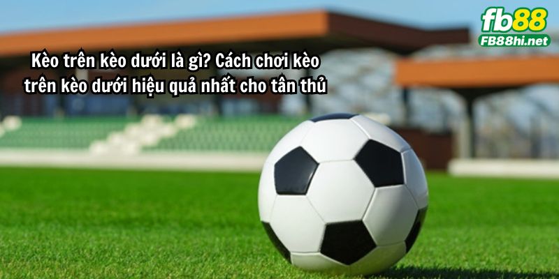Kèo trên kèo dưới là gì? Cách chơi kèo trên kèo dưới hiệu quả nhất cho tân thủ
