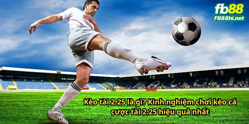 Kèo tài 2.25 là gì? Kinh nghiệm chơi kèo cá cược tài 2.25 hiệu quả nhất