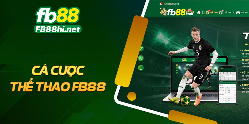 Cá cược thể thao FB88