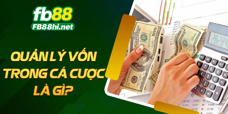 Quản lý vốn trong cá cược là gì?